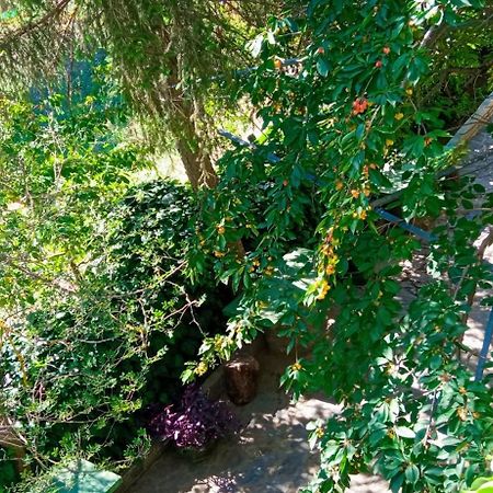 Lassithi Plateau Traditional Suite Agios Georgios  Eksteriør billede