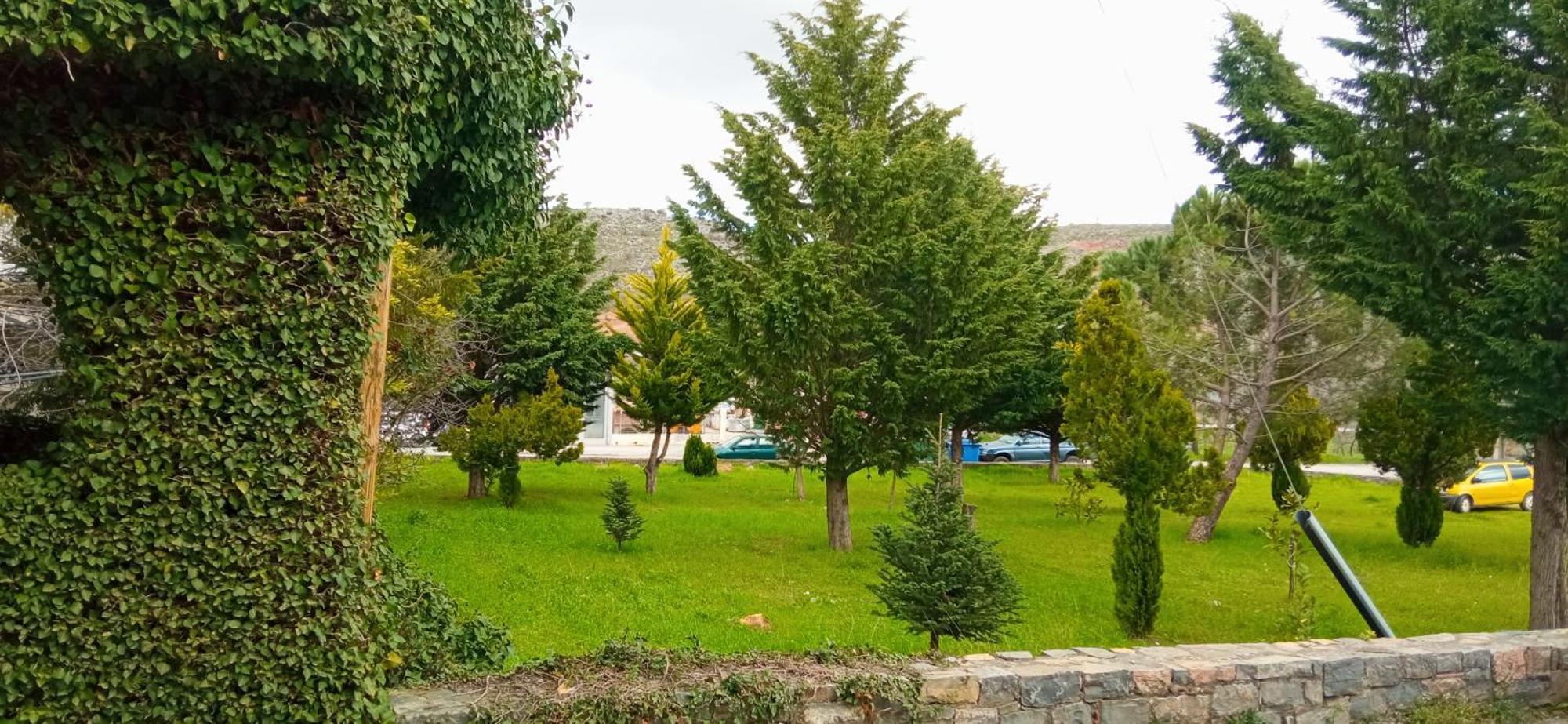 Lassithi Plateau Traditional Suite Agios Georgios  Eksteriør billede